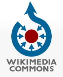 wiki media logo